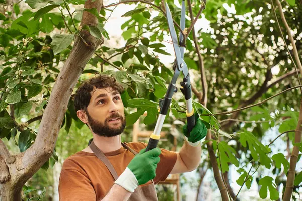 Bel giardiniere in guanti e grembiule taglio ramo su albero con grandi forbici in serra — Foto stock
