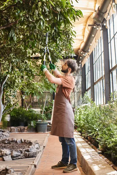 Schöner Gärtner in Handschuhen und Schürze schneidet Ast am Baum mit großer Gartenschere im Gewächshaus — Stockfoto