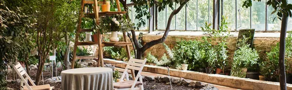 Banner of beautiful and modern greenhouse interior with wooden rack, garden chairs and round table — Stock Photo