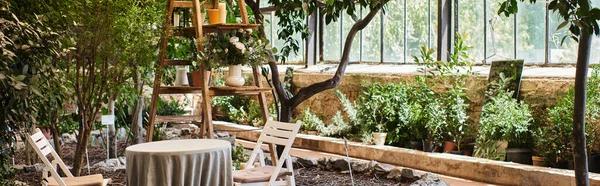 Banner des schönen und modernen Gewächshausinterieurs mit Holzgestell, Gartenstühlen und rundem Tisch — Stockfoto