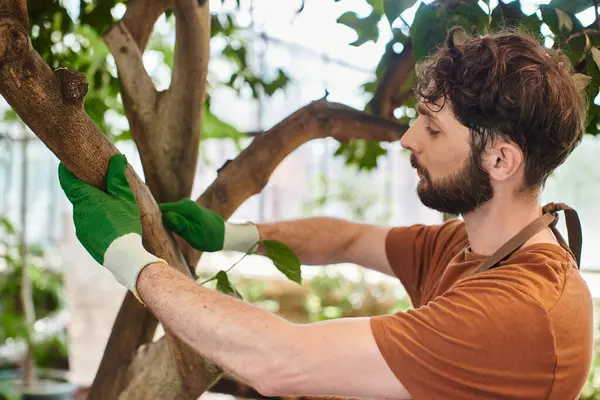 Handsome bearded gardener in gloves examining tree in modern greenhouse, horticulture, concept — Stock Photo