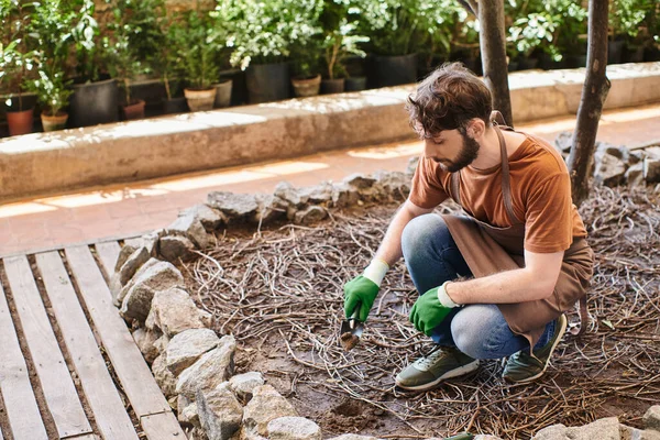 Handsome bearded gardener in gloves and apron digging with small shovel under tree in greenhouse — Stock Photo