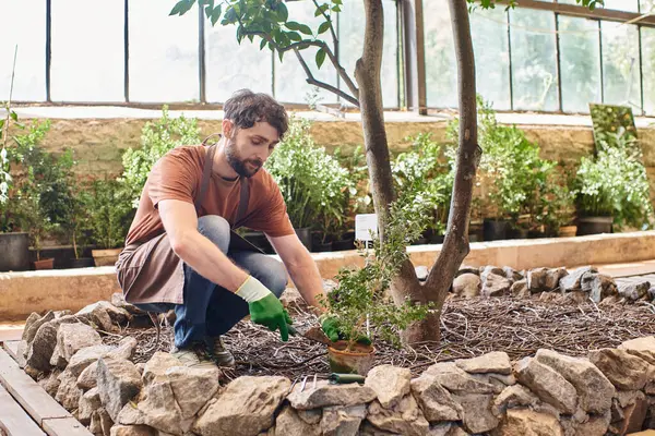 Handsome bearded gardener in gloves and apron transplanting plant and digging ground in greenhouse — Stock Photo