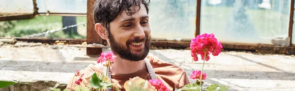 Happy bearded gardener in linen apron looking at plants with flowers on rack in greenhouse, banner — Stock Photo