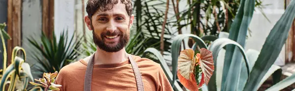 Happy bearded gardener in linen apron holding potted plants in greenhouse, banner — Stock Photo