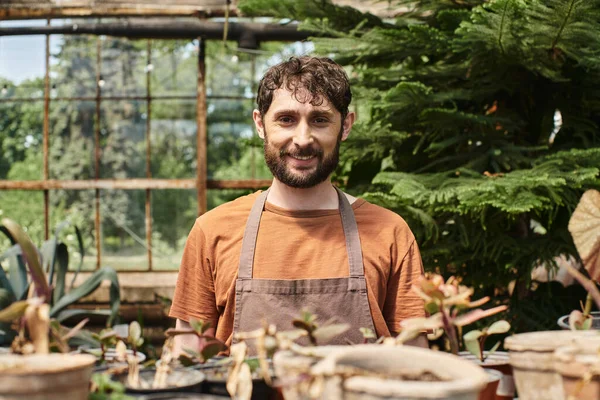 Happy bearded gardener in linen apron looking at camera around plants in greenhouse, horticulture — Stock Photo