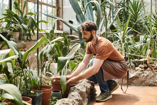 Uomo bello e barbuto in lino grembiule che lavora con piante in serra, giardiniere professionista — Foto stock