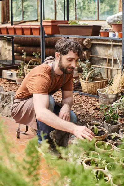 Handsome and bearded professional gardener in linen apron working in greenhouse with plants — Stock Photo