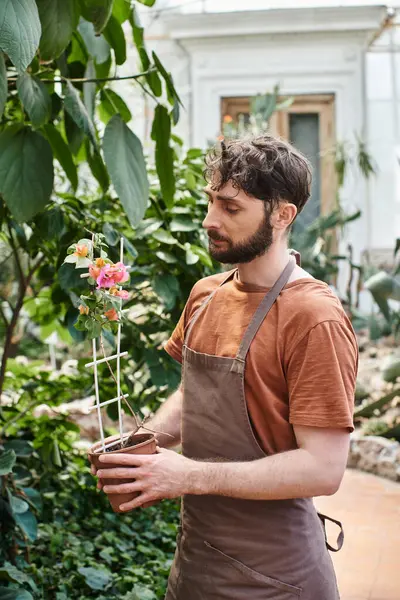 Handsome and bearded gardener in linen apron holding potted plant with flower in greenhouse, orchid — Stock Photo