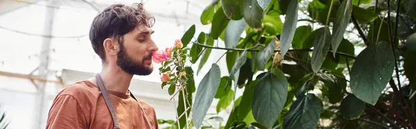Handsome and bearded gardener in linen apron holding plant in greenhouse, smelling orchid banner — Stock Photo