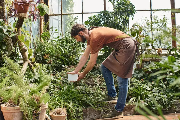 Hermoso y barbudo jardinero en traje casual con etiqueta de plástico cerca de las plantas en invernadero - foto de stock