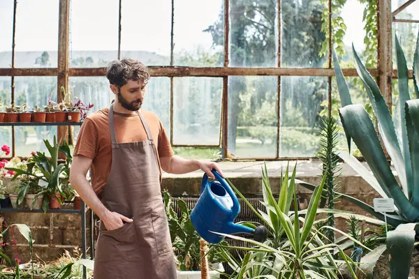 Handsome and bearded gardener in apron watering green plants in greenhouse, green thumb — Stock Photo