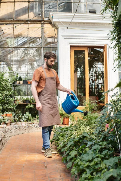 Красивий і бородатий садівник в фартусі поливає зелені рослини в теплиці, зелений великий палець — стокове фото