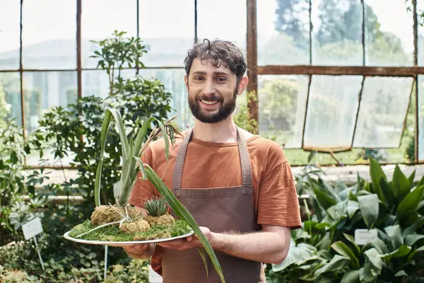 Веселый и бородатый садовник в фартуке смотрит в камеру и держит зеленое растение в теплице — стоковое фото