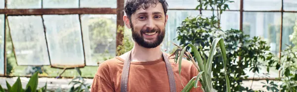 Jardineiro alegre com barba olhando para a câmera e de pé cercado por plantas verdes em estufa — Fotografia de Stock