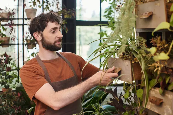 Handsome and bearded gardener in apron checking leaves of plant in greenhouse, green thumb — Stock Photo