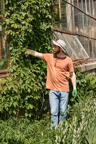 Hermoso y barbudo jardinero en sombrero de sol examinar planta cerca de invernadero moderno en el campo - foto de stock