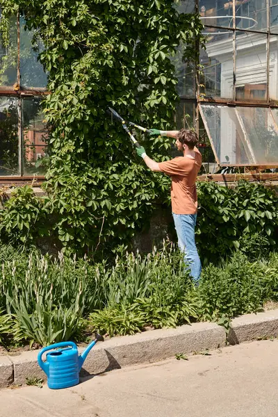 Jardinero barbudo en guantes y delantal cortando ramitas en árbol verde con grandes tijeras de jardinería - foto de stock