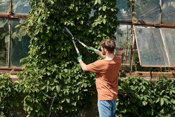 Bearded gardener in gloves and t-shirt cutting twigs on green tree with big gardening scissors — Stock Photo