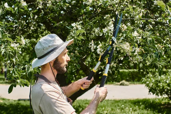 Бородатый садовник в солнечной шляпе обрезает ветки дерева большими садовыми ножницами и работает на открытом воздухе — стоковое фото