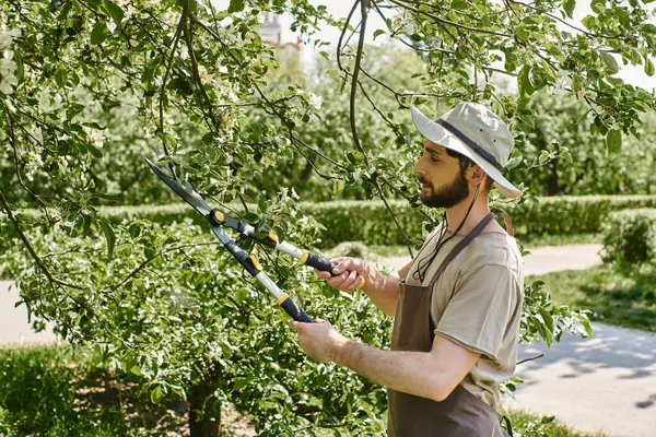 Бородатый садовник в солнечной шляпе обрезает ветки дерева большими садовыми ножницами и работает на открытом воздухе — стоковое фото