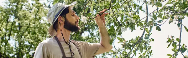 Jardinier barbu en chapeau de soleil et tablier examinant les feuilles vertes de l'arbre tout en travaillant à l'extérieur, bannière — Photo de stock
