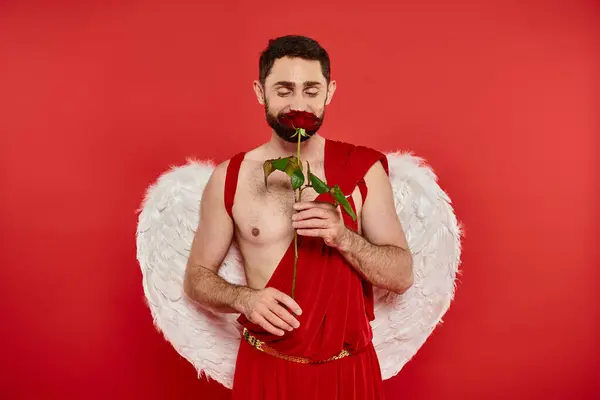Delighted man in cupid costume enjoying flavor of aromatic rose on red, Saint Valentines celebration — Stock Photo