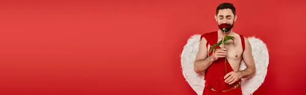 Pleased man dressed as cupid enjoying scent of rose on red, saint valentines day, banner — Stock Photo