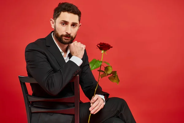 Élégant homme en costume noir assis sur une chaise avec rose rouge et regardant la caméra, st Saint-Valentin — Photo de stock