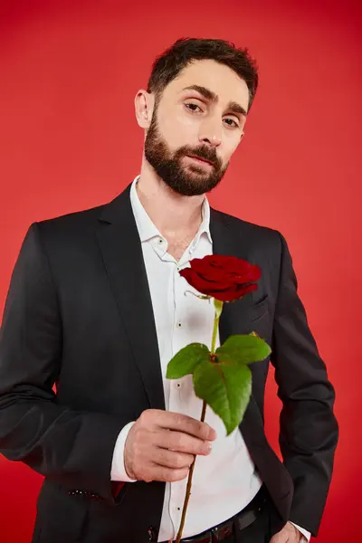 Selbstbewusster gutaussehender Mann im schwarzen Anzug mit roter Rose blickt in die Kamera, Valentinstag-Konzept — Stockfoto