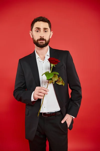 Stylish man in black suit with rose in hand in pocket looking at camera on red, st valentines day — Stock Photo