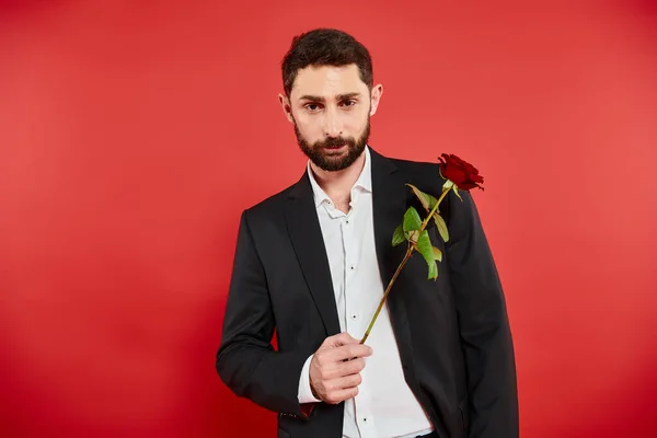 Good-looking bearded man in black suit holding red rose and looking at camera on red, st valentines — Stock Photo
