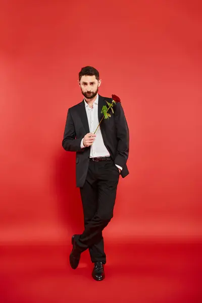 Впевнений елегантний чоловік в чорному костюмі позує з червоною трояндою і рукою в кишені, День святого Валентина — стокове фото