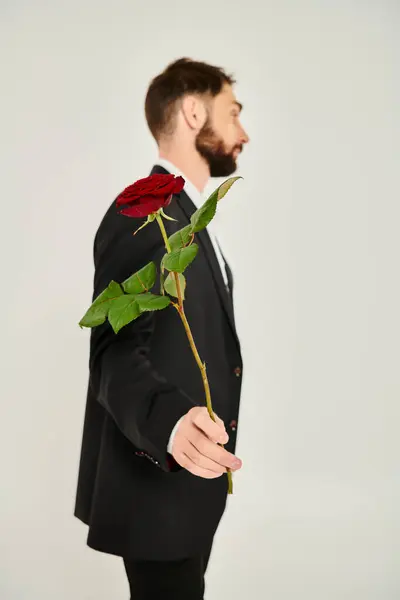 Side view of bearded man in black suit with red rose in outstretched hand on grey, st valentines — Stock Photo