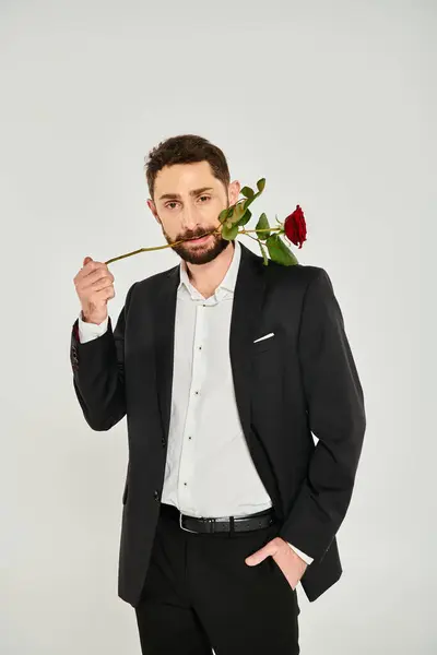 Експресивний чоловік в чорному костюмі з червоною трояндою в зубах дивиться на камеру на сірому, день святого Валентина — стокове фото