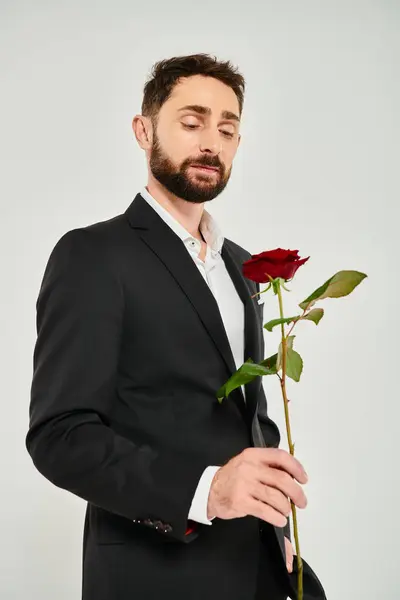 Uomo d'affari elegante fiducioso in abito nero guardando rosa aromatica rossa su grigio, giorno st valentines — Foto stock