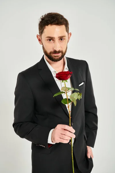 Uomo barbuto positivo in abito nero mostrando rosa rossa e guardando la fotocamera in grigio, giorno st valentines — Foto stock