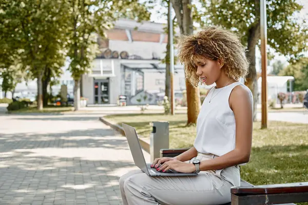 Concentrato riccio afroamericano freelance lavorando sul suo computer portatile su panchina in un ambiente parco — Foto stock