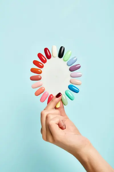 Object photo of nail polish palette in hand of unknown young female model on vibrant blue backdrop — Stock Photo