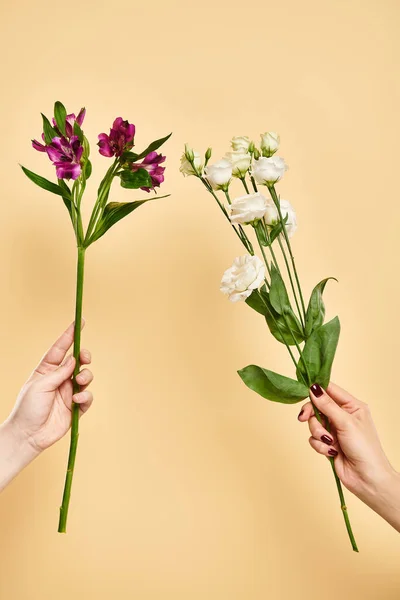 Objektfoto von frischem Eustoma und Lilienblüten in den Händen einer unbekannten Frau auf pastellfarbenem Hintergrund — Stockfoto