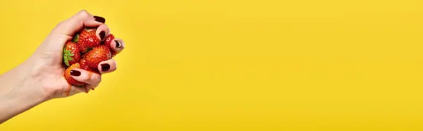 Неизвестная модель, сжимающая сочную клубнику в руке на желтом фоне, баннер — стоковое фото
