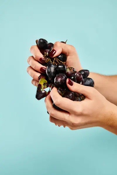 Unknown young female model with nail polish squeezing fresh grapes in her hands on blue background — Stock Photo