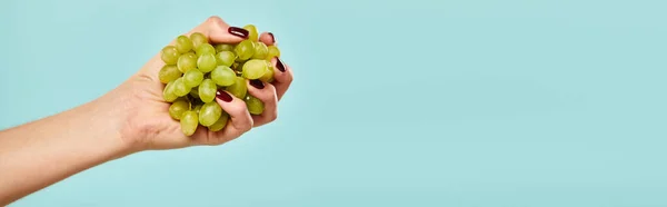 Oggetto foto di uva fresca verde in mano di giovane donna sconosciuta su un vivace sfondo blu, banner — Foto stock