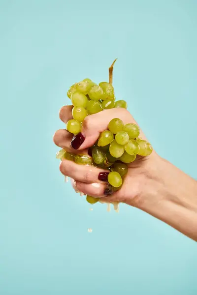 Unknown female model with nail polish squeezing fresh green grapes in her hand on blue backdrop — Stock Photo
