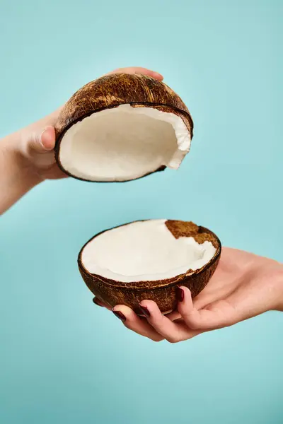 Object photo of delicious fresh coconut in hands of young unknown female model with nail polish — Stock Photo