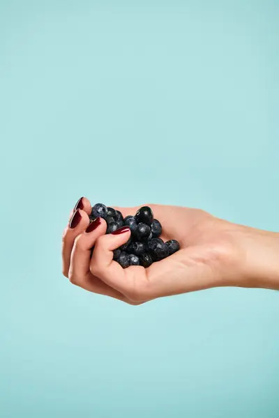 Objektfoto von frischen saftigen Blaubeeren in der Hand eines unbekannten jungen weiblichen Modells mit Nagellack — Stockfoto