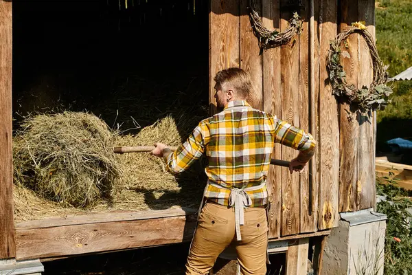 Attractive dedicated farmer in casual attire using pitchfork while working with hay in village — Stock Photo