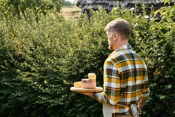 Good looking man with tattoos on arms in casual attire holding cheese and looking away while on farm — Stock Photo