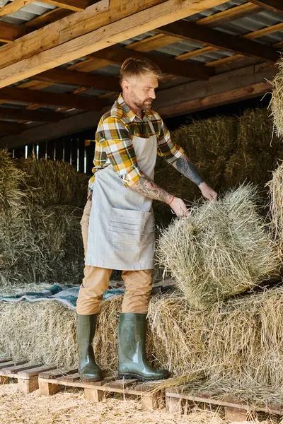Atraente homem dedicado com barba e tatuagens trabalhando com fardos de feno enquanto em sua fazenda — Fotografia de Stock