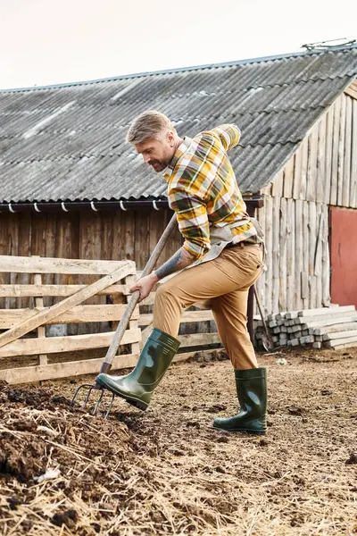Hard working attractive farmer with beard and tattoos using pitchfork while working with manure — Stock Photo